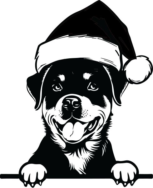 Rotvajler - J (Vánoční)