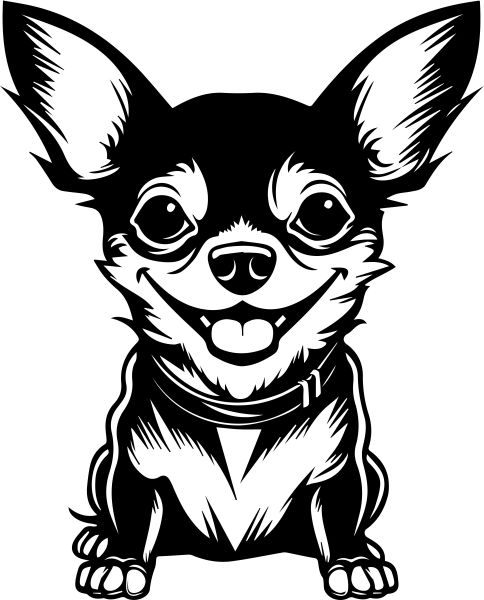 Čivava krátkosrstá - F