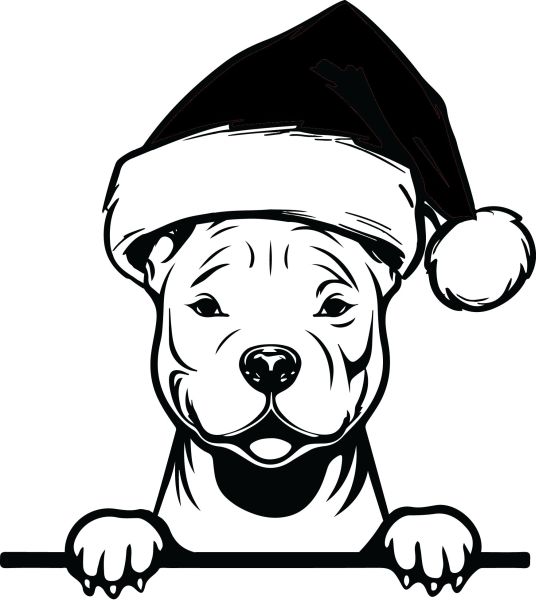 Pitbull - J (Vánoční)