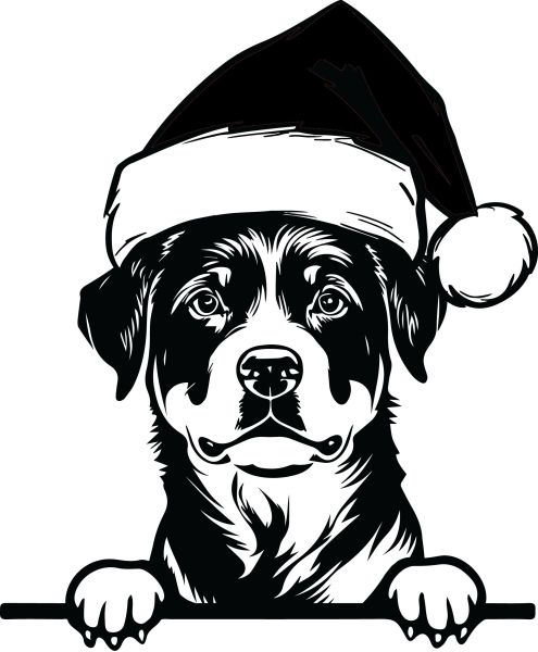 Rotvajler - I (Vánoční)