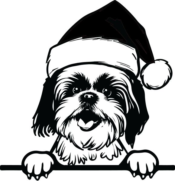 Shih-tzu - I (Vánoční)