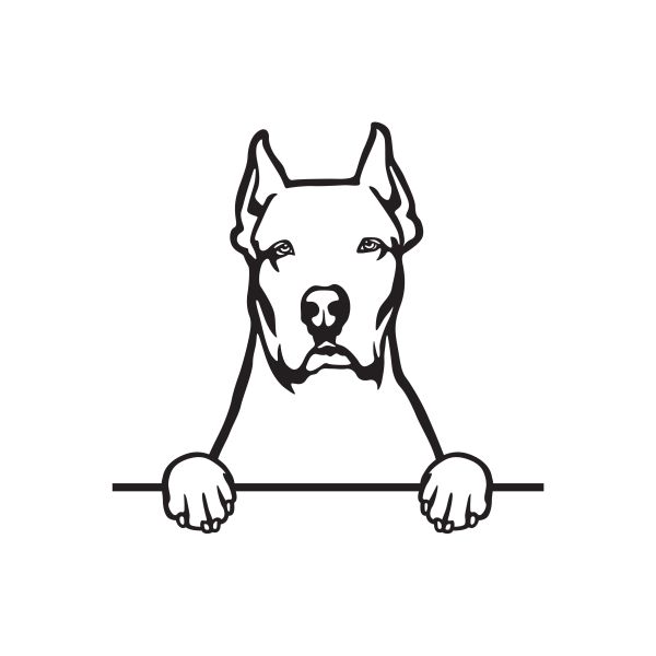 Argentinská doga - A