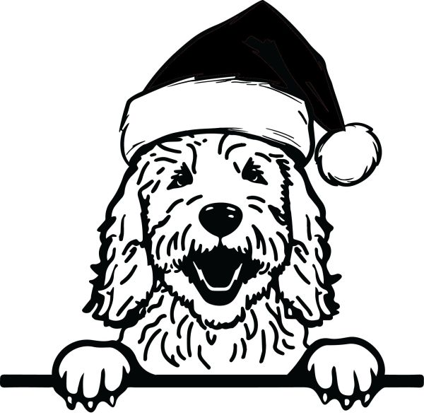 Goldendoodle - G (Vánoční)