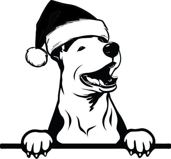 Anglický bulteriér - M (Vánoční)