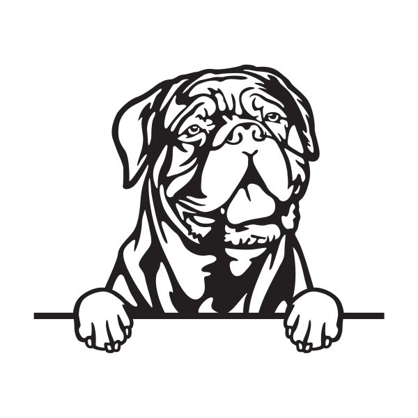 Bordeauxská doga - A