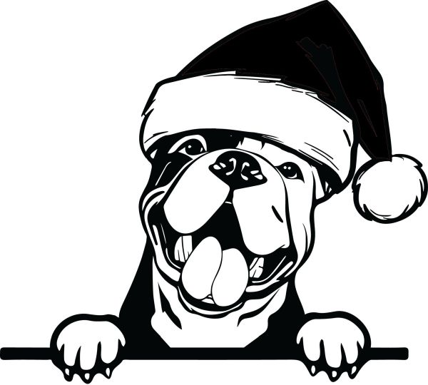 Kontinentální buldog - E (Vánoční)