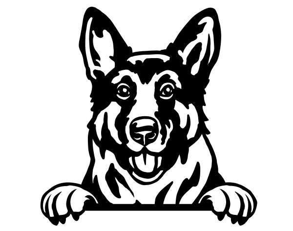 Německý ovčák krátkosrstý - C