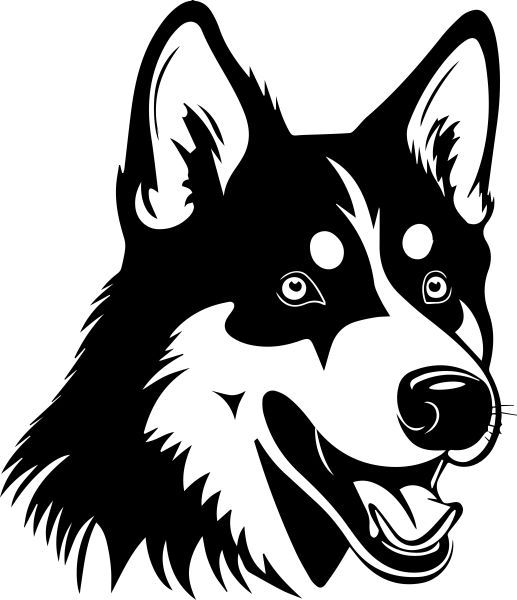 Sibiřský husky - F