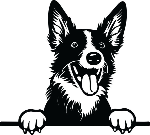 Vlčí špic (Keeshond) - E