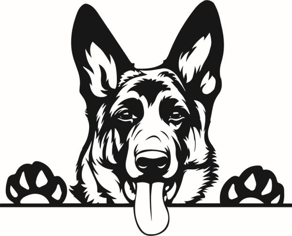 Německý ovčák krátkosrstý - A