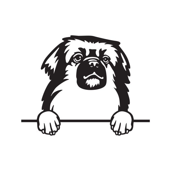 Tibetský španěl - A