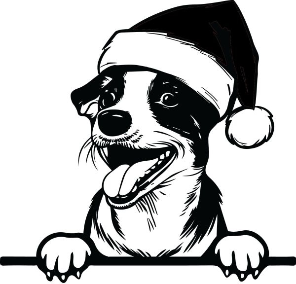 Jack Russell Teriér - H (Vánoční)