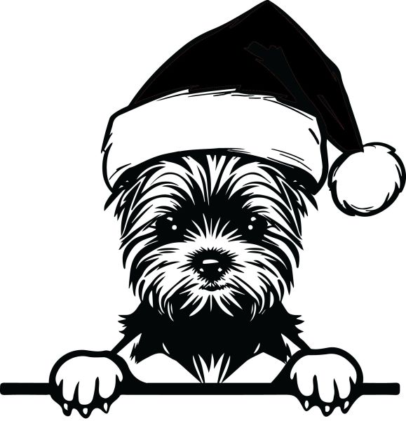 Jorkšírský teriér - M (Vánoční)