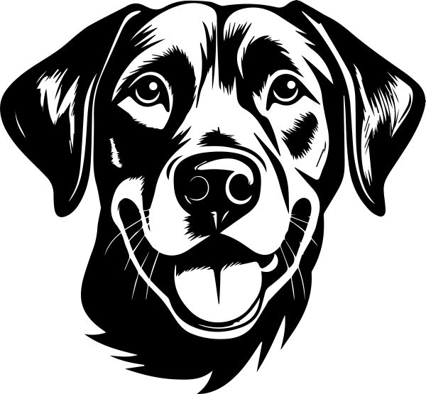 Labradorský retrívr - G