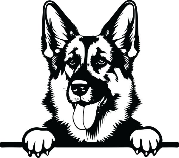 Německý ovčák krátkosrstý - J