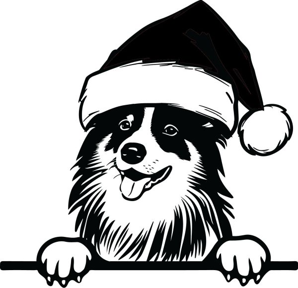 Šeltie (Shetlandský ovčák) - H (Vánoční)